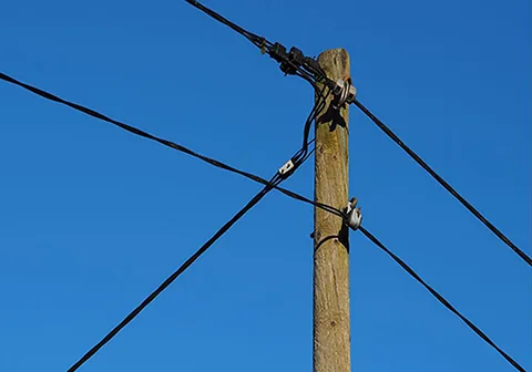 Holzmast mit Freileitung